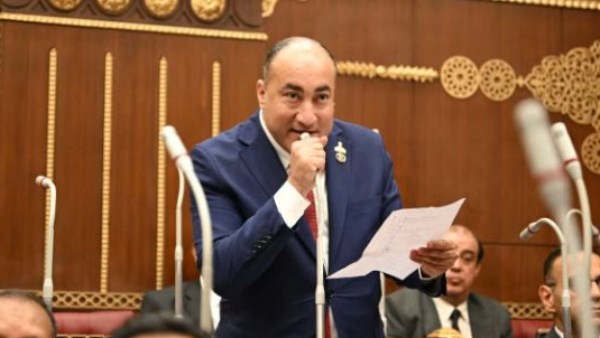  النائب عمرو رشاد عضو مجلس الشيوخ