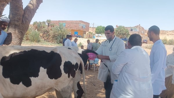 جانب من القافلة 