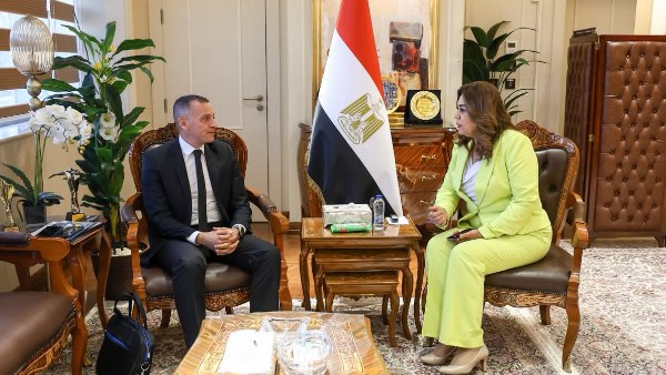 محافظ أسوان 
