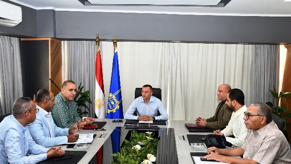 محافظ أسوان 