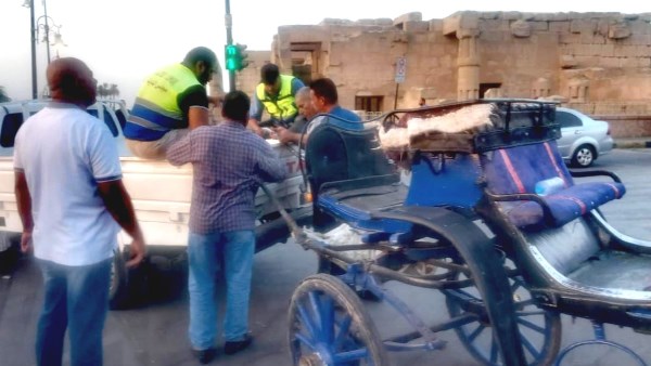 عربة حنطور مخالفة