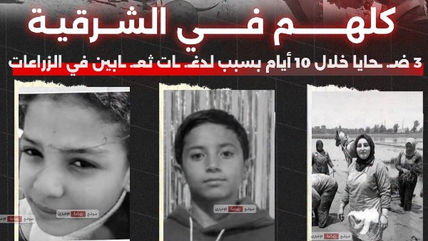 ضحايا أفاعي الشرقية 