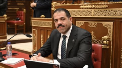 المستشار الدكتور أحمد عبد الغني