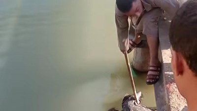 انتشال جثمان شابة مجهولة من بحر يوسف بالفيوم