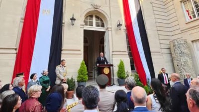 الجاليات المصرية