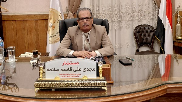 المستشار مجدى على قاسم 