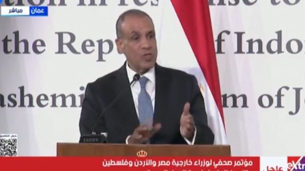 الدكتور بدر عبد العاطي وزير الخارجية