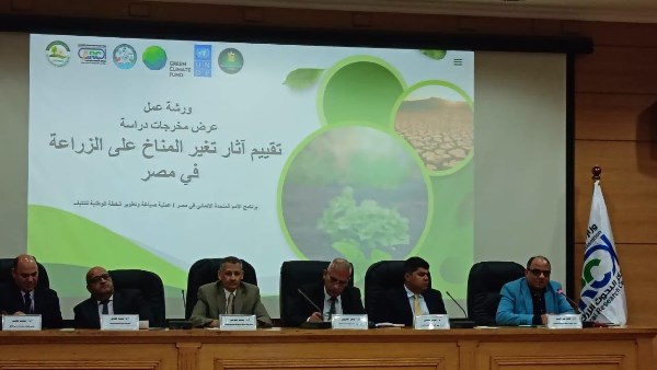 جانب من ورشة العمل 