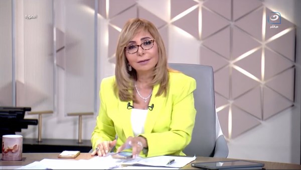 لميس الحديدي