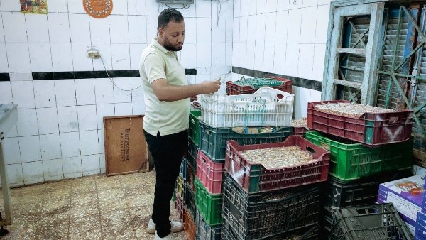 أرشيفية 