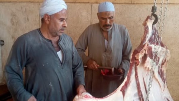  المتابعة الميدانية