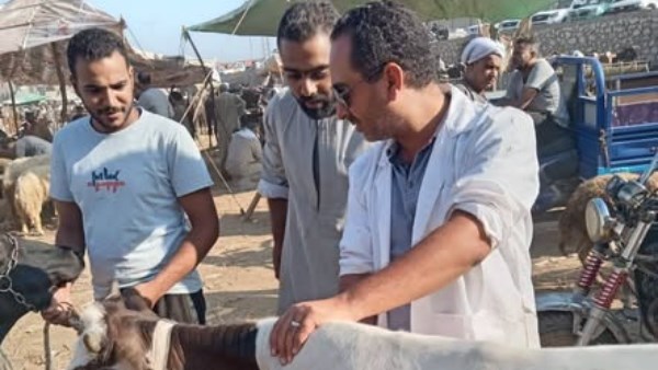 جانب من الجولة 