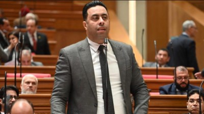 النائب أحمد فرغلي، عضو مجلس النواب
