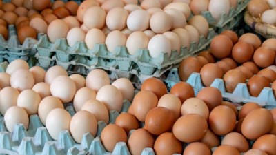 البيض - صورة أرشيفية