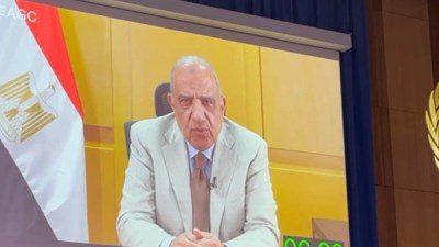  الدكتور محمود عصمت - وزير الكهرباء والطاقة المتجددة