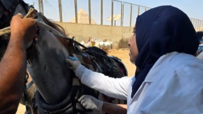 جانب من الجولة 