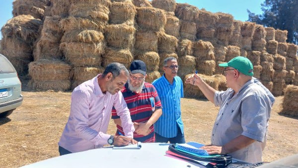 الدقهلية تكثف التفتيش على مواقع قش الأرز لمواجهة السحابة السوداء