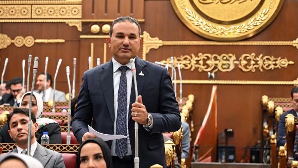 النائب تامر عبد الحميد، عضو مجلس الشيوخ