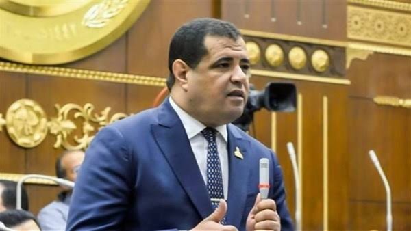 مصطفي الكحيلي عضو مجلس الشيوخ 