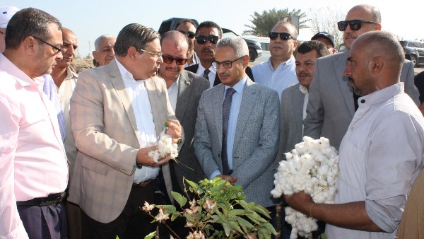 موسم جني القطن 