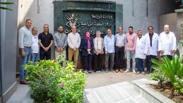 الزراعة تعلن تجديد شهادة الأيزو 9001 للمعمل المركزي لمتبقيات المبيدات