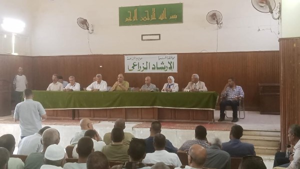 من قلب الصعيد.. «الزراعة» تدعم منظومة تقاوي البطاطس بالمنيا