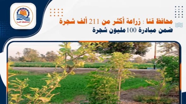زراعة أكثر من 211 ألف شجرة ضمن مبادرة «100 مليون شجرة»