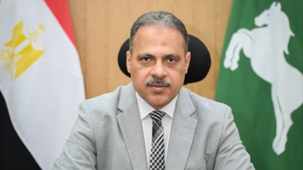  محافظ الشرقية