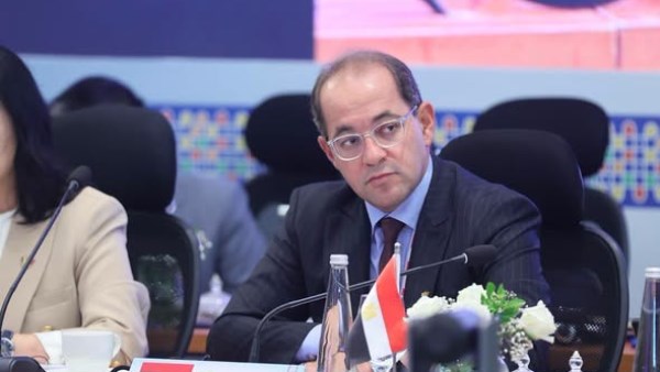  أحمد كجوك، وزير المالية
