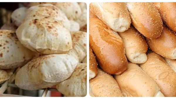  الخبز السياحي الحر والخبز الفينو