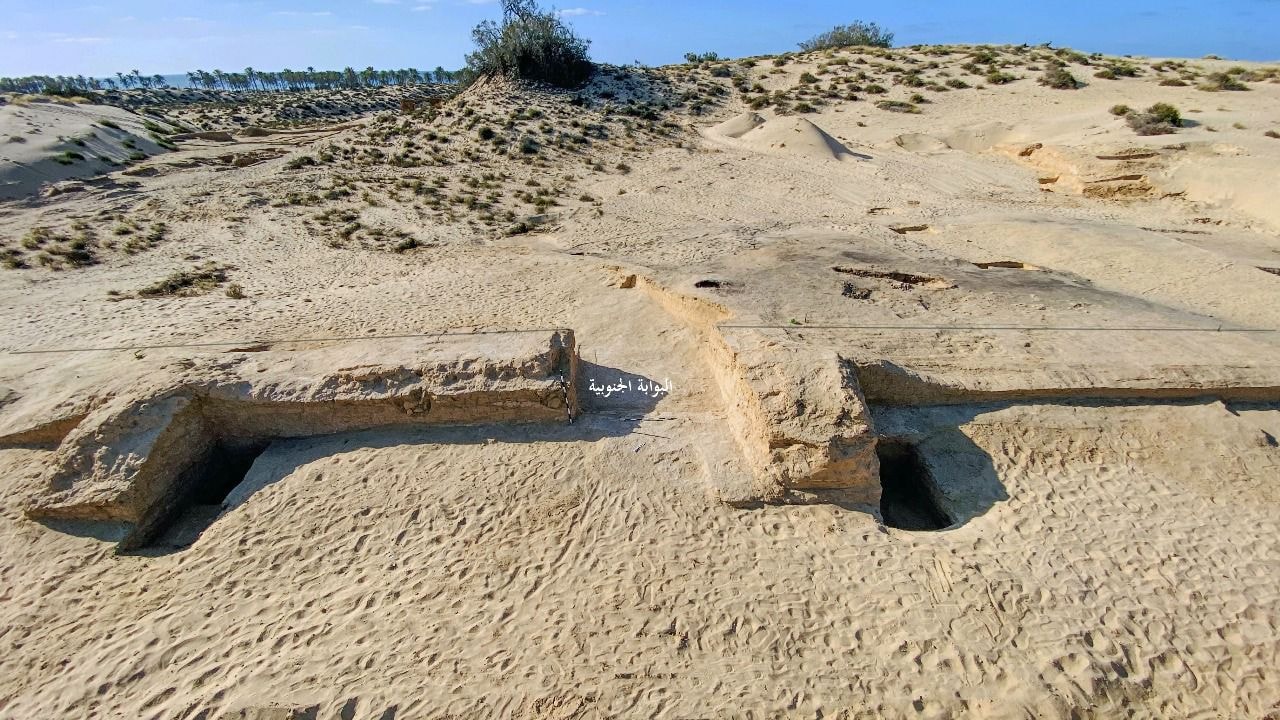 558820777_1365907938_2847_011523.jpg